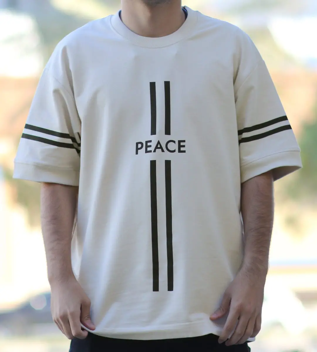 تیشرت مردانه مدل T-Shirt shik17